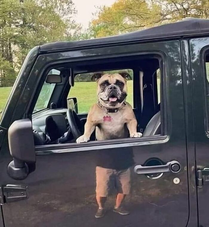 Accidental-Optical-Illusions-Pics