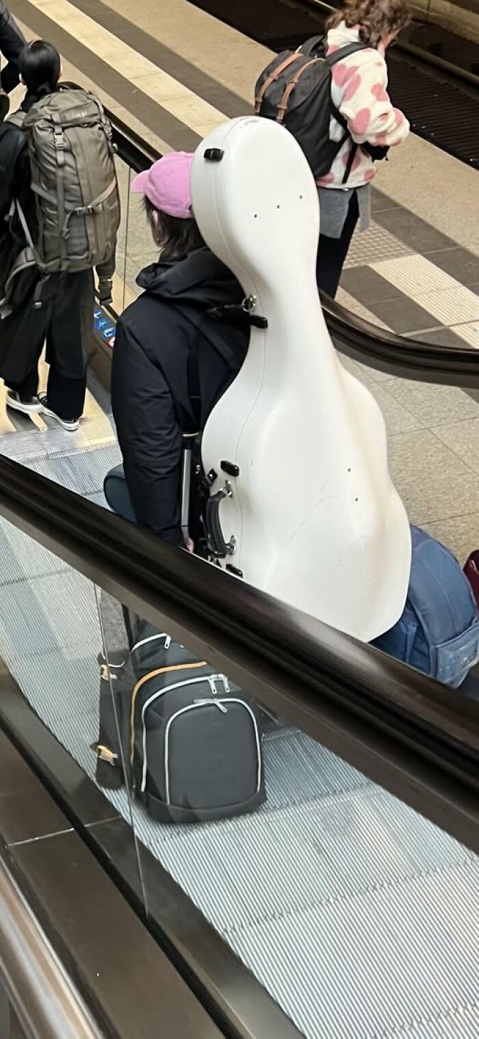 Accidental-Optical-Illusions-Pics