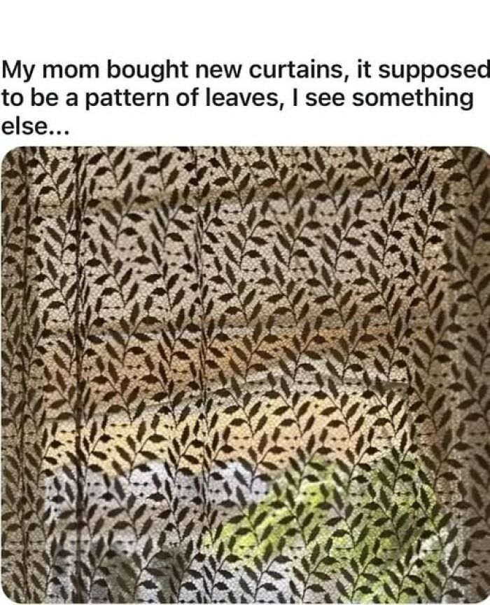 Accidental-Optical-Illusions-Pics