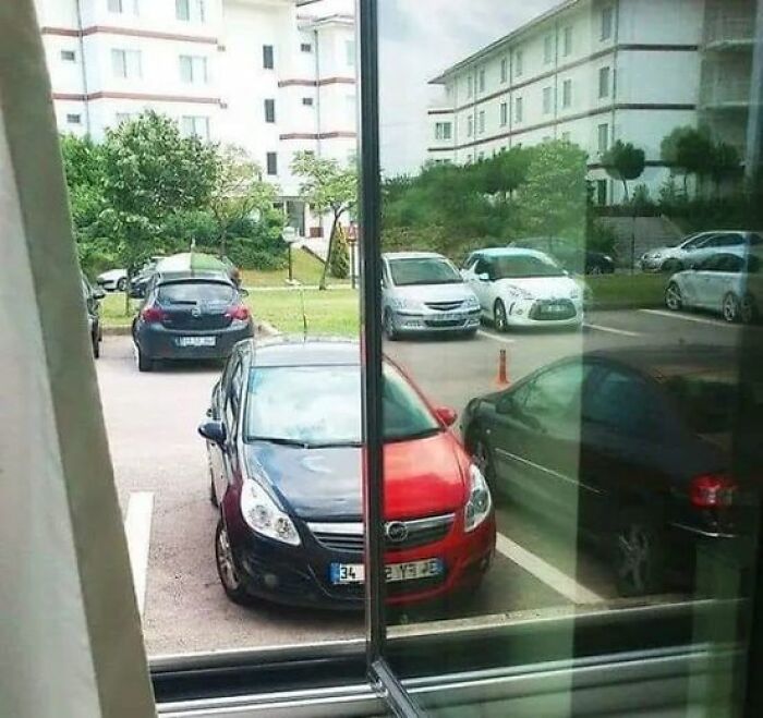 Accidental-Optical-Illusions-Pics