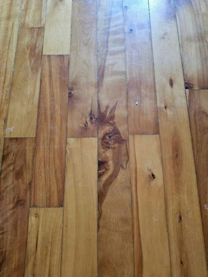 Good Old Devil Peeking Out Of The Floor 😜