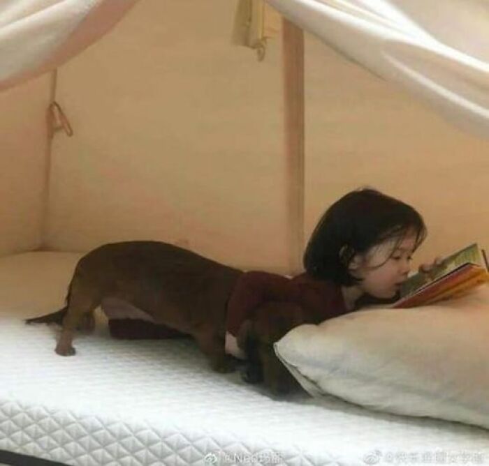 Accidental-Optical-Illusions-Pics