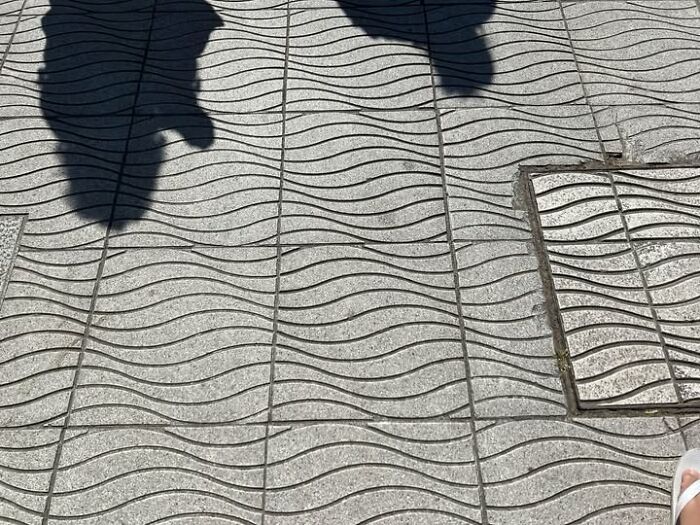 Accidental-Optical-Illusions-Pics