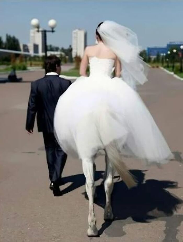 Accidental-Optical-Illusions-Pics