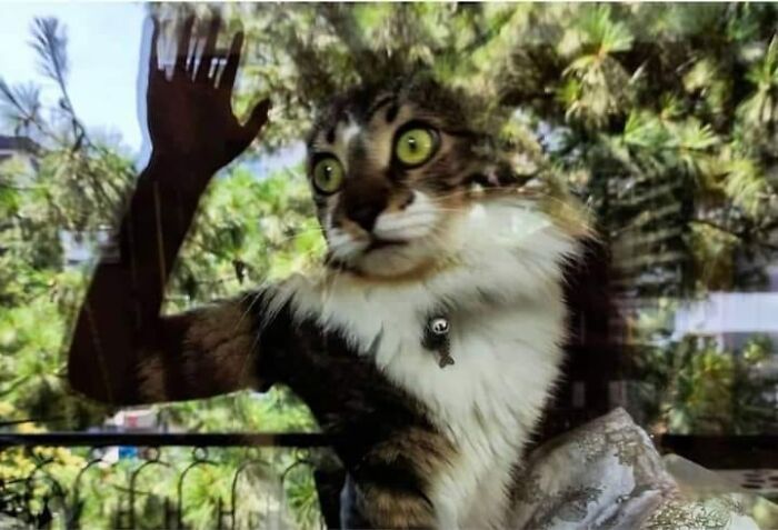 Hi Everyone... 👋🏻