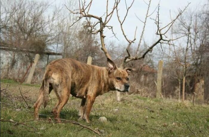 Accidental-Optical-Illusions-Pics