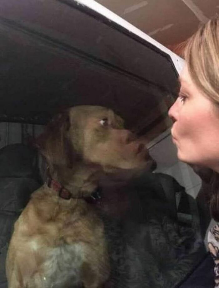 Accidental-Optical-Illusions-Pics