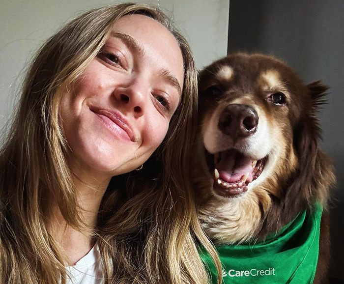 Amanda Seyfried Reveals Why Leaving Hollywood Was The “Best Decision” Amanda Seyfried Reveals Why Leaving Hollywood Was The “Best Decision”