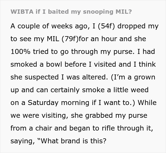 Text discussing a woman's suspicion about her MIL going through her purse, considering baiting her snooping MIL.