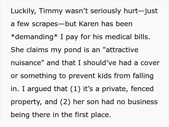 Text describing neighbor dispute over responsibility after child falls into private pond.