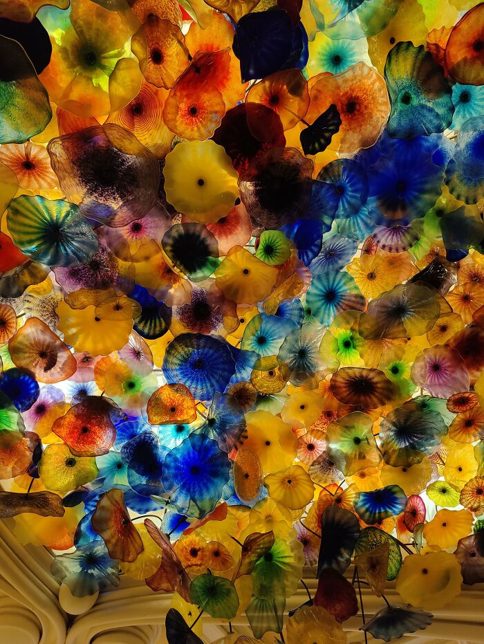 Colorful glass ceiling installation with intricate, overlapping floral designs showcasing creative design challenges to clean.
