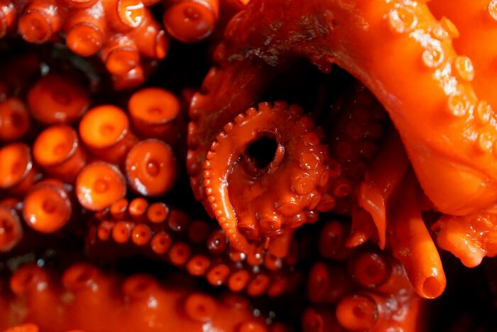 30 Things Parents Stumbled Upon In Their Kids’ Rooms They Weren’t Supposed To See