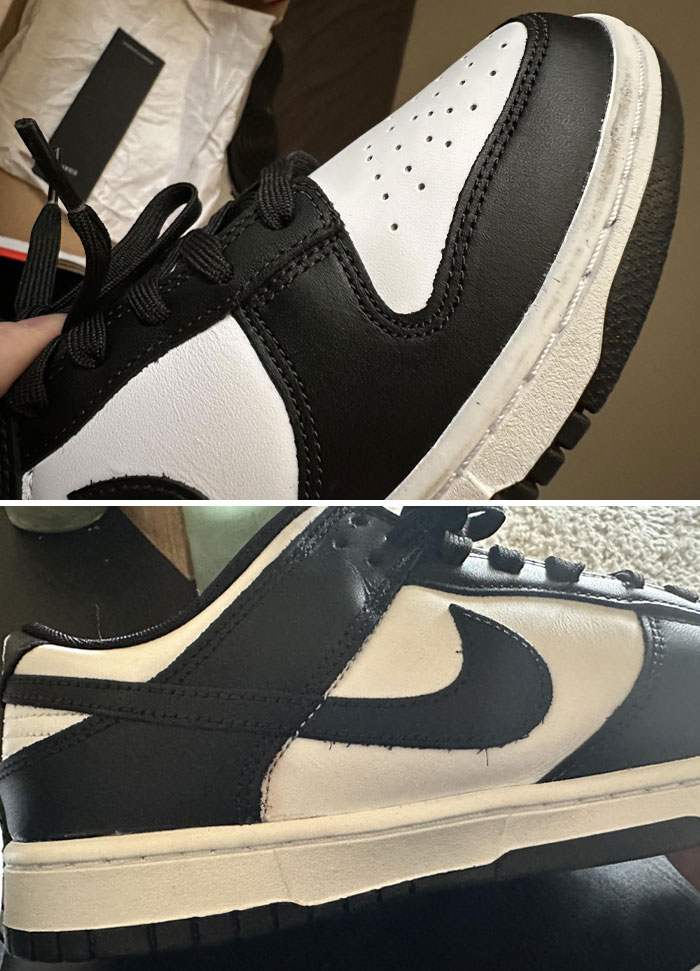 Goat Scammed Me For 100 Dollars In The Black Friday Event