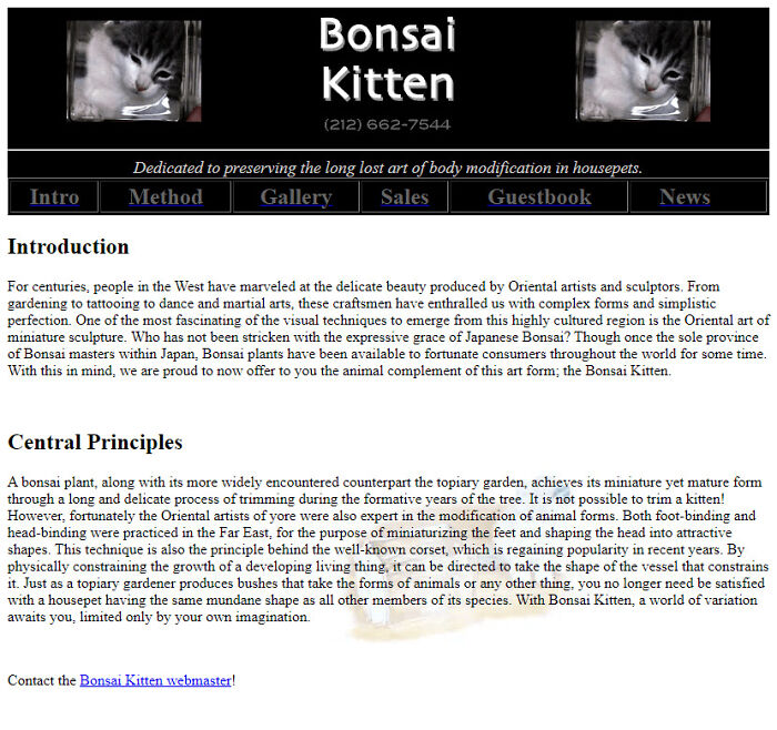 28 Notable Websites From The Dawn Of The Internet That Young People Surely Missed Out On