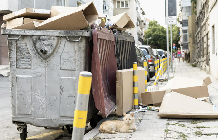 Overflowing dumpster on a street; trash scattered, symbolizing covertly trashed items.