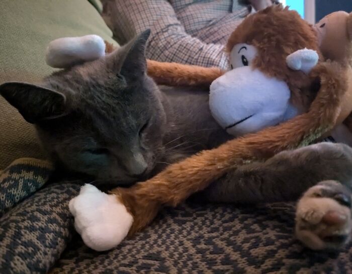 Vinnie And Mooooonkey!