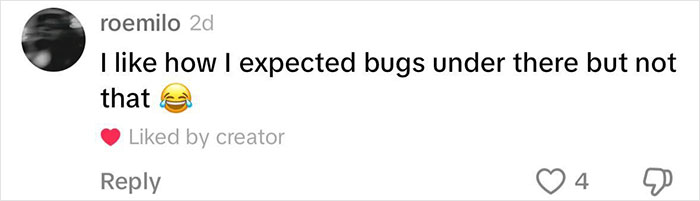 Women Baffled After Everything In 9-Bedroom Rental House Is Zip-Tied Shut&mdash;Including The Fridge