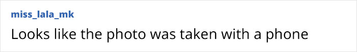 A comment saying, "Looks like the photo was taken with a phone.