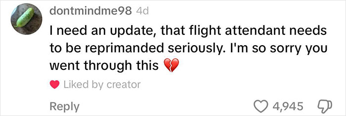 Woman Shares &ldquo;Most Distressing, Dehumanizing&rdquo; Experience Following Feud With Flight Attendant