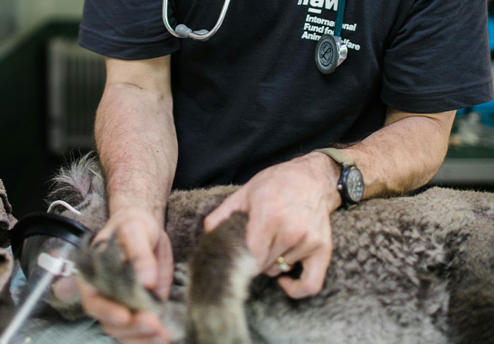 35 Times People Got To Show Their Expert Knowledge When An Idiot Challenged Them