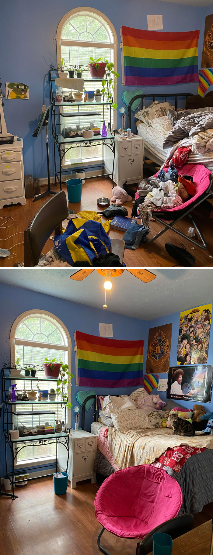 I Cleaned My Depression Room