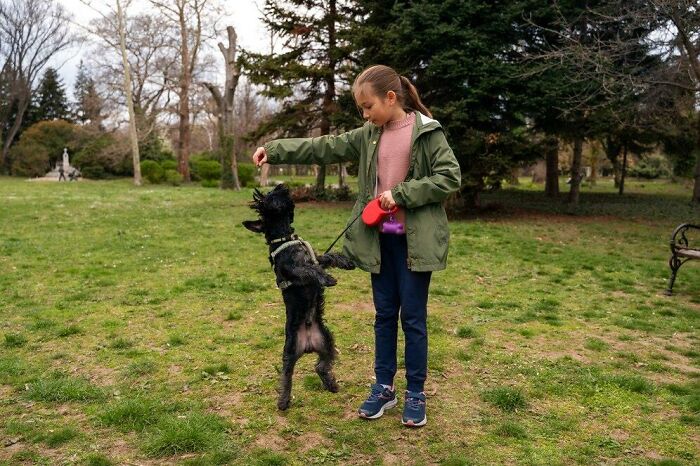 A young girl in a park playing with a small black dog on a leash, engaging in a joyful moment.