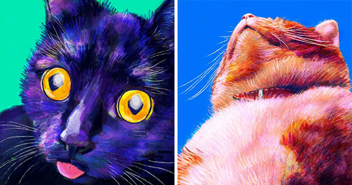 My Colorful Cat Portraits That Highlight Their Irresistible Charm (17 Pics)
