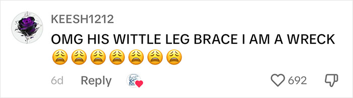 Periwinkle The Penguin Takes Over The Internet As He Thrives After A Rough Start, Defying All Odds Periwinkle The Penguin Takes Over The Internet As He Thrives After A Rough Start, Defying All Odds