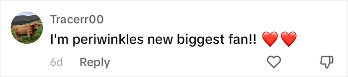 Periwinkle The Penguin Takes Over The Internet As He Thrives After A Rough Start, Defying All Odds Periwinkle The Penguin Takes Over The Internet As He Thrives After A Rough Start, Defying All Odds