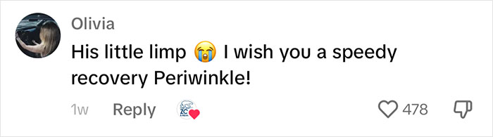 Periwinkle The Penguin Takes Over The Internet As He Thrives After A Rough Start, Defying All Odds Periwinkle The Penguin Takes Over The Internet As He Thrives After A Rough Start, Defying All Odds