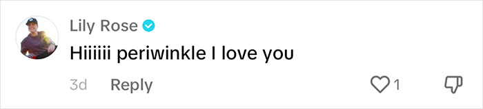 Periwinkle The Penguin Takes Over The Internet As He Thrives After A Rough Start, Defying All Odds Periwinkle The Penguin Takes Over The Internet As He Thrives After A Rough Start, Defying All Odds