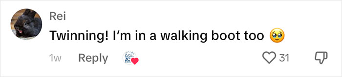 Periwinkle The Penguin Takes Over The Internet As He Thrives After A Rough Start, Defying All Odds Periwinkle The Penguin Takes Over The Internet As He Thrives After A Rough Start, Defying All Odds