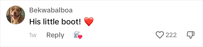 Periwinkle The Penguin Takes Over The Internet As He Thrives After A Rough Start, Defying All Odds Periwinkle The Penguin Takes Over The Internet As He Thrives After A Rough Start, Defying All Odds