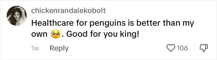 Periwinkle The Penguin Takes Over The Internet As He Thrives After A Rough Start, Defying All Odds Periwinkle The Penguin Takes Over The Internet As He Thrives After A Rough Start, Defying All Odds