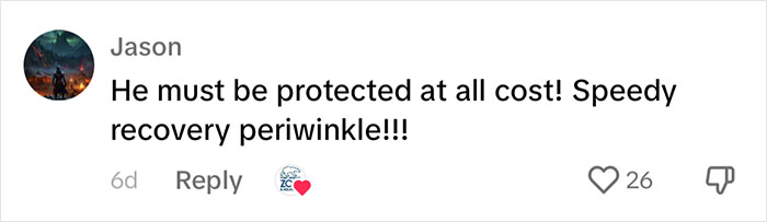 Periwinkle The Penguin Takes Over The Internet As He Thrives After A Rough Start, Defying All Odds Periwinkle The Penguin Takes Over The Internet As He Thrives After A Rough Start, Defying All Odds