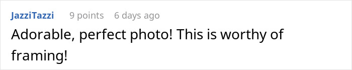 These Dogs Have Been Fawning From A Distance Over Couple&rsquo;s Newborn Daughter