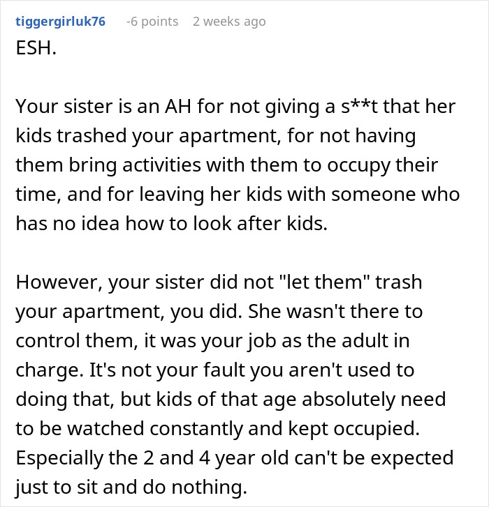 Kids Completely Wreck Aunt’s Apartment, Mom Gets Defensive When She Loses Her Free Babysitter Kids Completely Wreck Aunt’s Apartment, Mom Gets Defensive When She Loses Her Free Babysitter