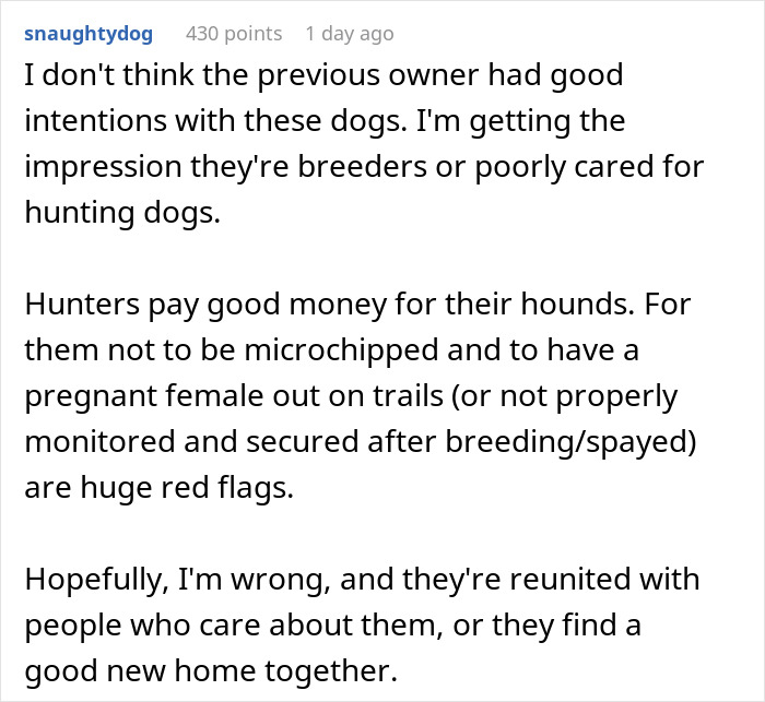 Man Goes For A Walk In The Forest, Returns With A Couple Of Beagles He Found Stuck On A Cliff