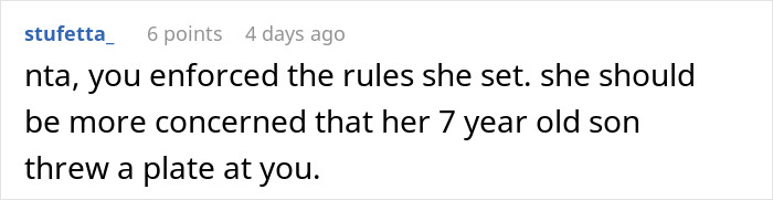 Reddit comment discussing an incident where an aunt quits babysitting after her nephew throws a plate at her.