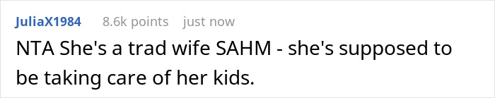 Reddit comment discussing a stay-at-home mom's responsibility, referencing a sister's judgmental attitude. Reddit comment discussing a stay-at-home mom's responsibility, referencing a sister's judgmental attitude.