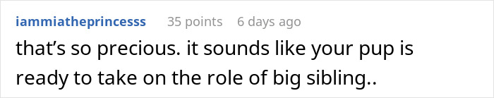 These Dogs Have Been Fawning From A Distance Over Couple&rsquo;s Newborn Daughter