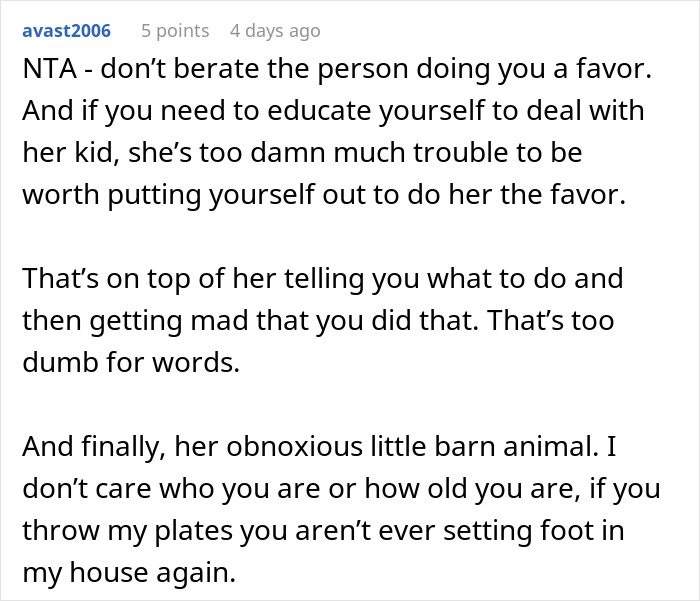 Reddit comment discussing babysitter quitting after nephew throws dinner plate.