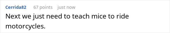 Rats Who Were Taught To Drive Enjoy Going For Rides, Rev The Engine As Soon As They Get In Rats Who Were Taught To Drive Enjoy Going For Rides, Rev The Engine As Soon As They Get In