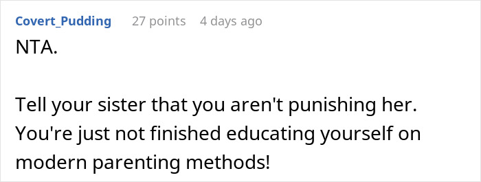 Reddit comment discussing modern parenting in context of finding another babysitter after an incident.