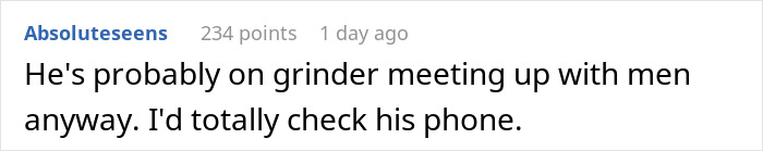 Comment suggesting checking husband's phone after gaycation request.