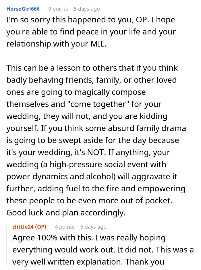 &ldquo;A Lot Of Drama&rdquo;: Woman Takes Over Son&rsquo;s Wedding, Ruins The Day For The Bride And Groom