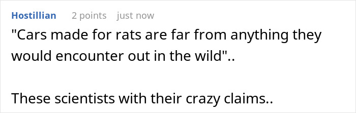 Rats Who Were Taught To Drive Enjoy Going For Rides, Rev The Engine As Soon As They Get In Rats Who Were Taught To Drive Enjoy Going For Rides, Rev The Engine As Soon As They Get In