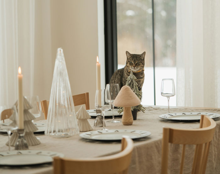 Guy Goes Dramatic Over Wife’s Idea To Throw 2 Different Xmas Parties For Relatives, Says It’s Racist Guy Goes Dramatic Over Wife’s Idea To Throw 2 Different Xmas Parties For Relatives, Says It’s Racist