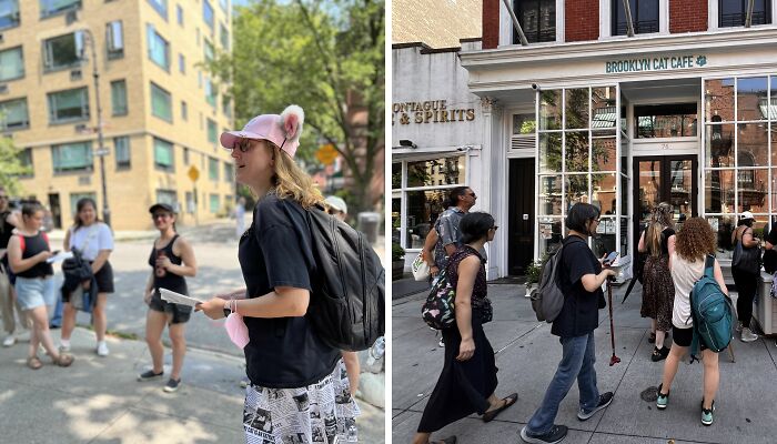 These Cats Were Wall Street Legends Before It Was Cool: NYC’s New Walking Tour Will Make You Say ‘Aww’ And ‘Wow’