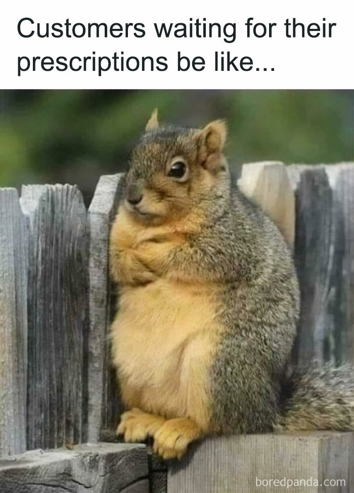 Why Can't They Just Stare At Their Phones In Line Instead